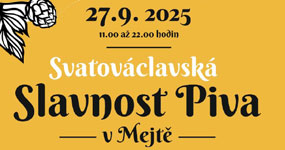 Pivní festivaly