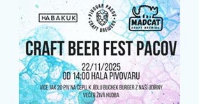 Pivní festivaly