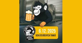 Pivní festivaly