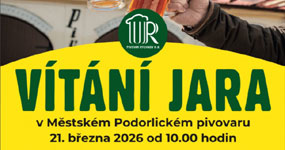 Pivní festivaly
